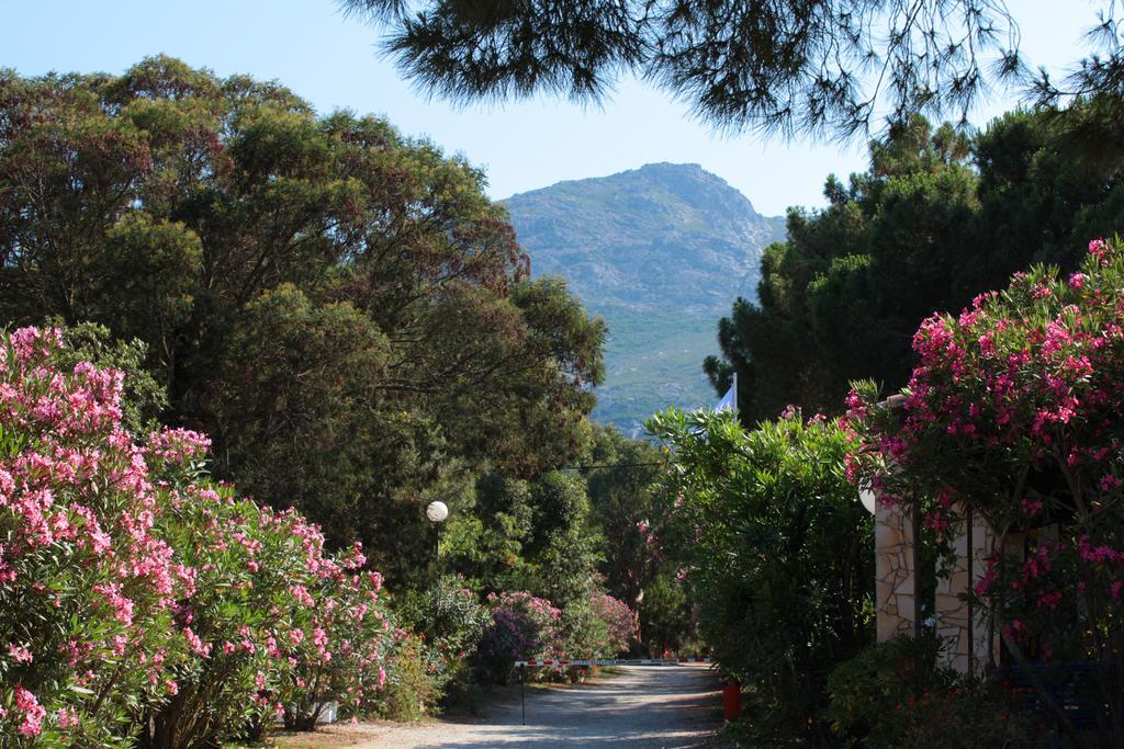 Camping Bella Vista Calvi  Exterior photo